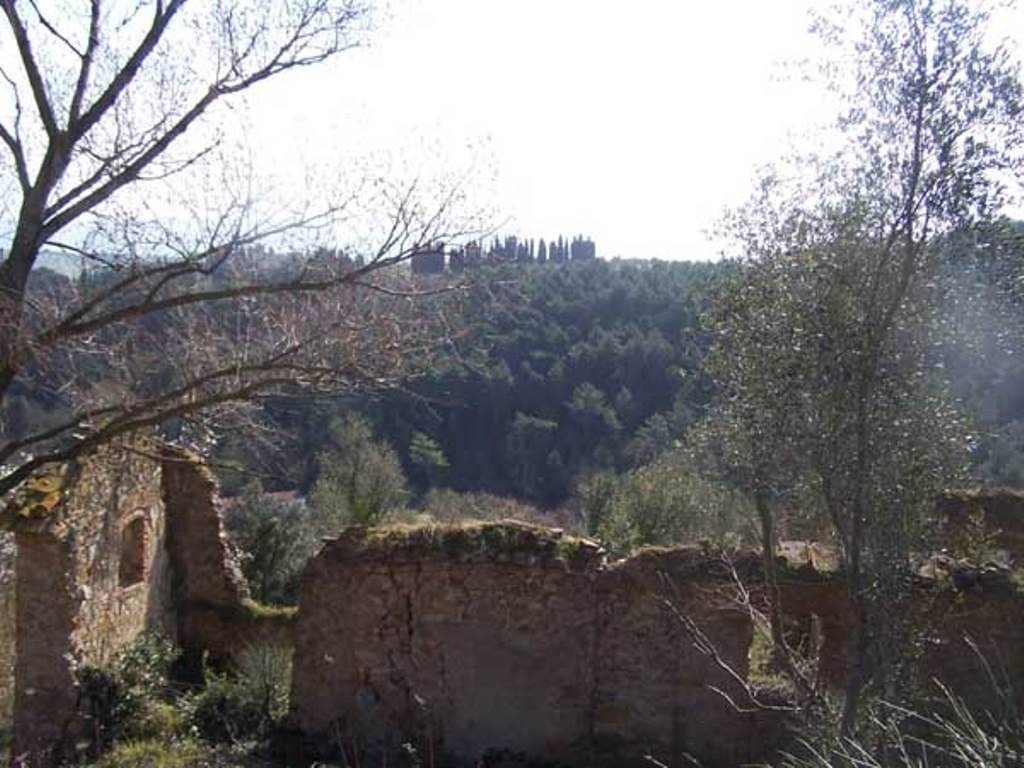 Rustico / casale a Collesalvetti - Foto 3
