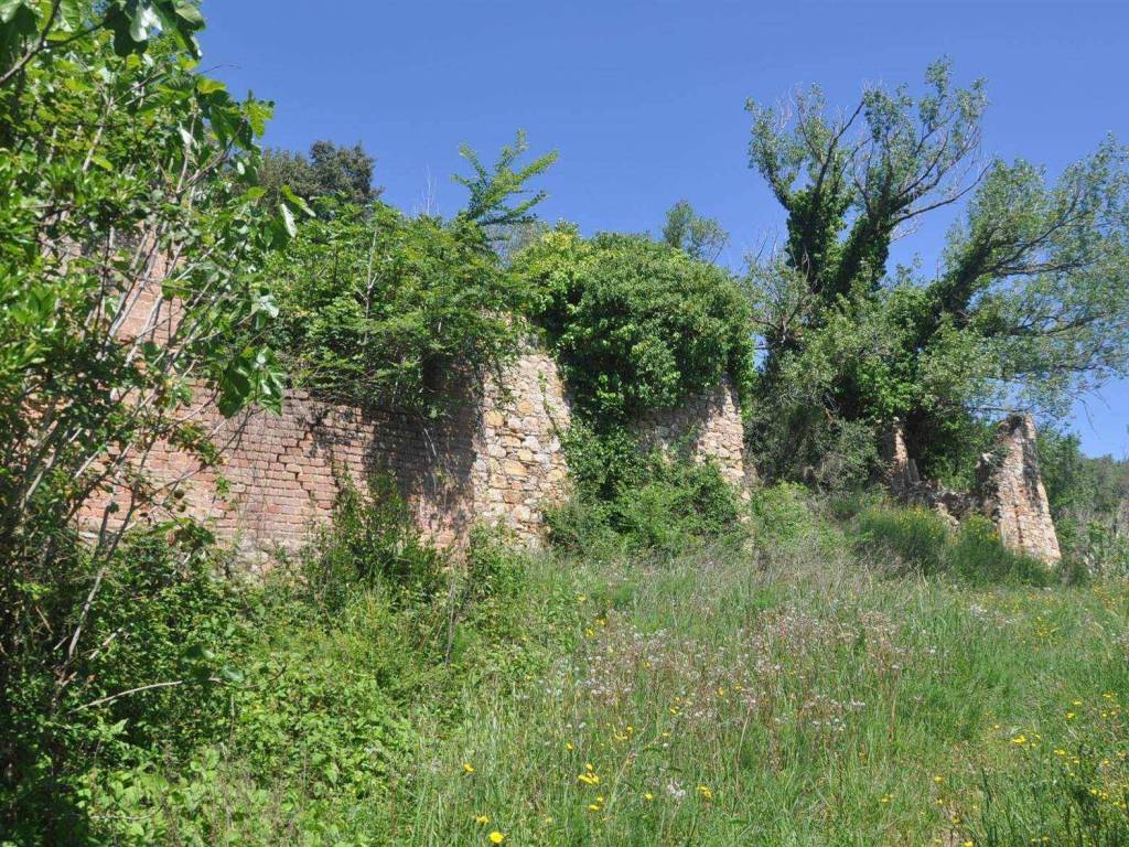 Rustico / casale a Collesalvetti - Foto 4