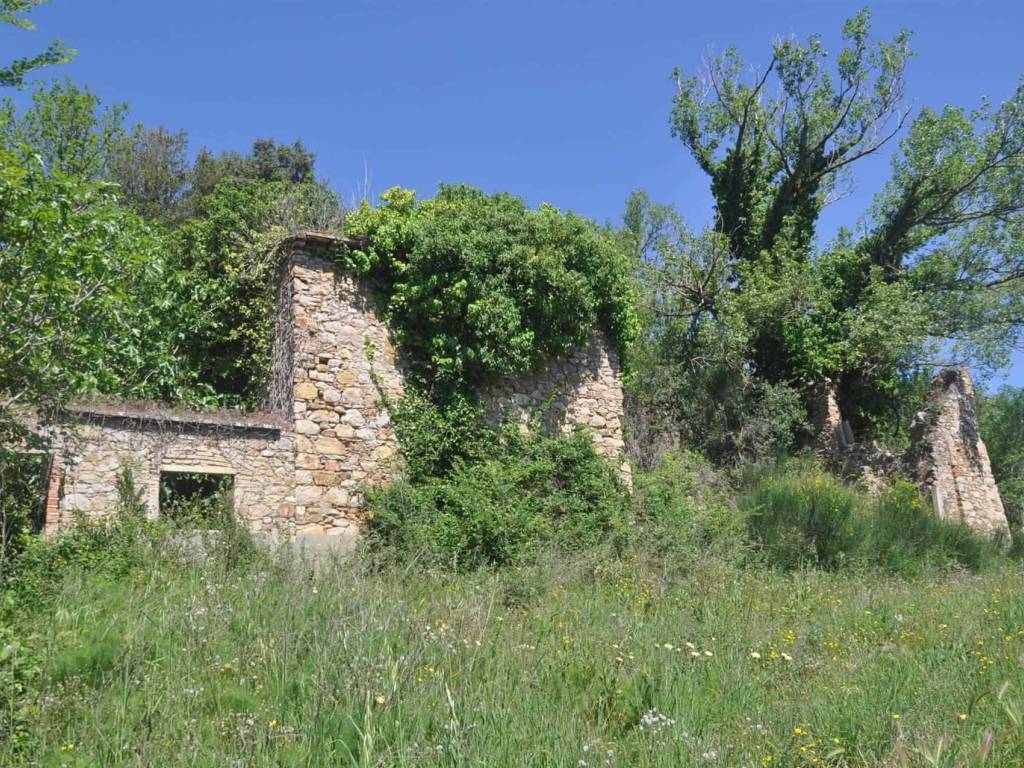 Rustico / casale a Collesalvetti - Foto 5