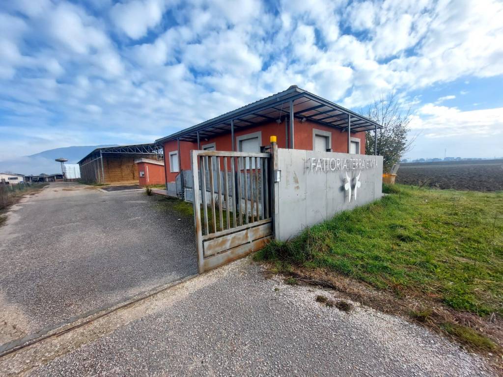 Immobile a Spoleto in Località Petrognano - Foto 4