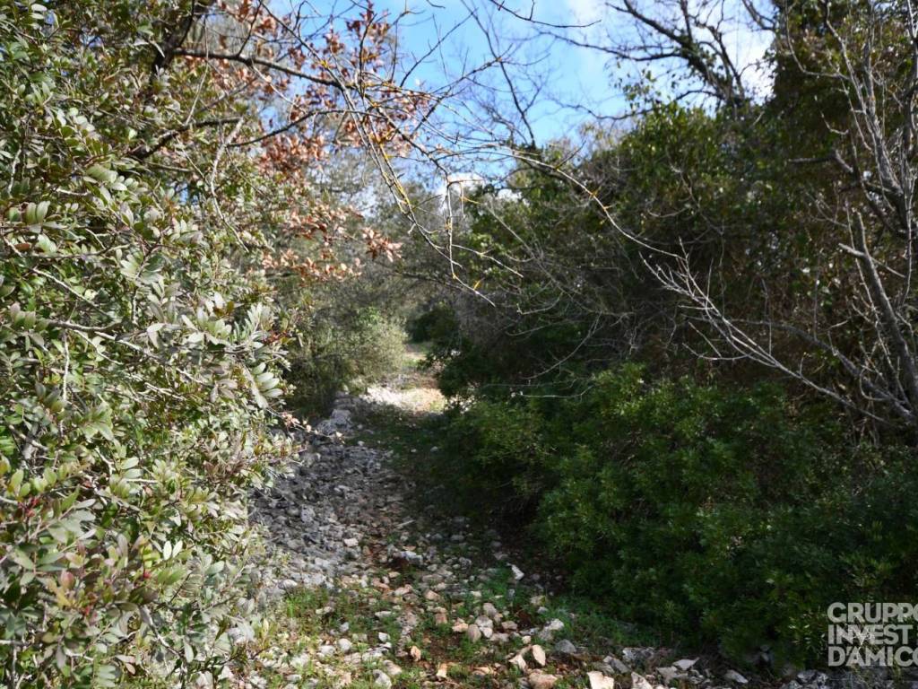 Terreno a Ceglie messapica - Foto 4
