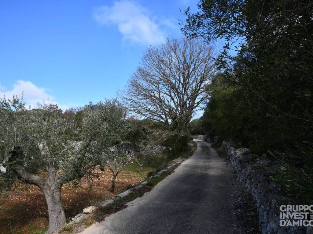 Terreno a Ceglie messapica - Foto 5