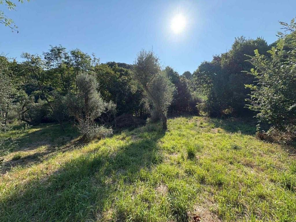 Terreno a Stella in Strada Provinciale del Sassello - Foto 3