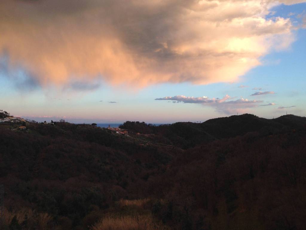 Terreno a Stella in Strada Provinciale del Sassello - Foto 5