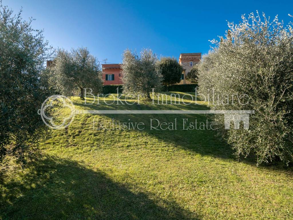 Rustico / casale a Vecchiano in Via Panoramica - Foto 2