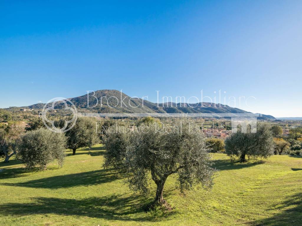 Rustico / casale a Vecchiano in Via Panoramica - Foto 5