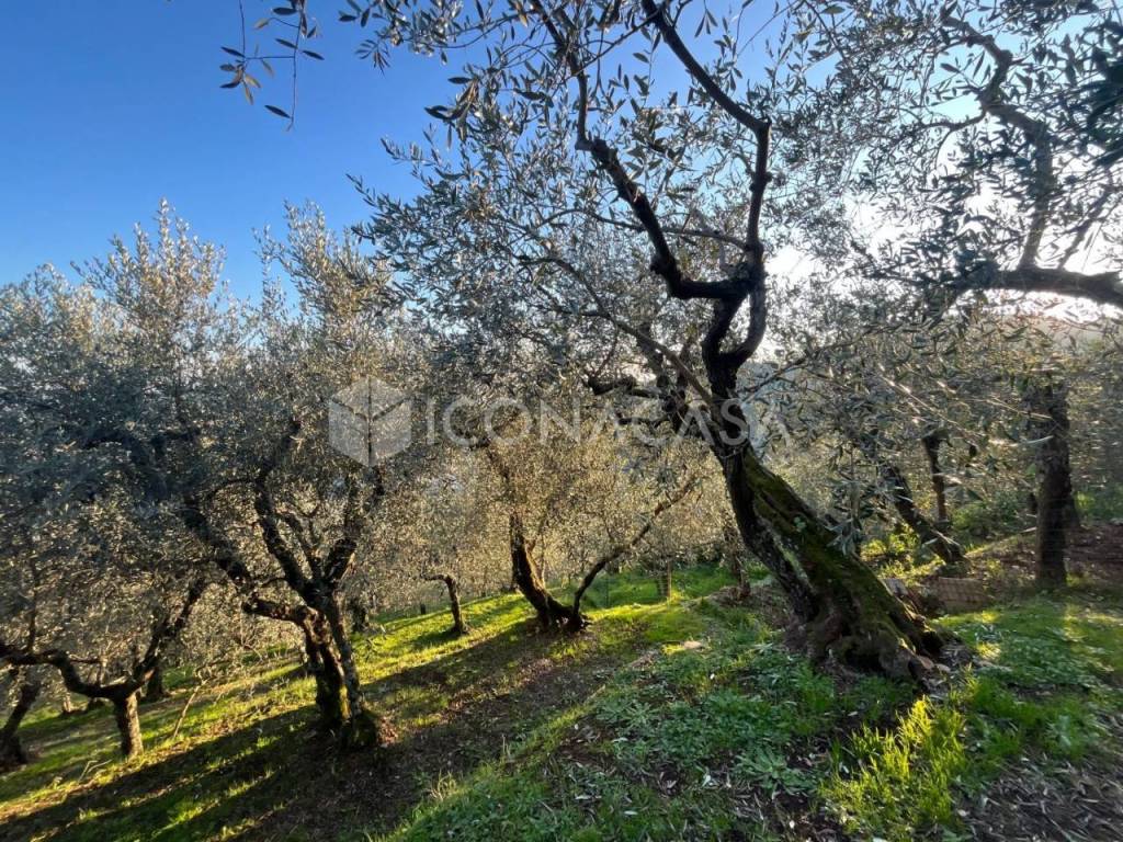 Terreno a Buti in Via Piana - Foto 2