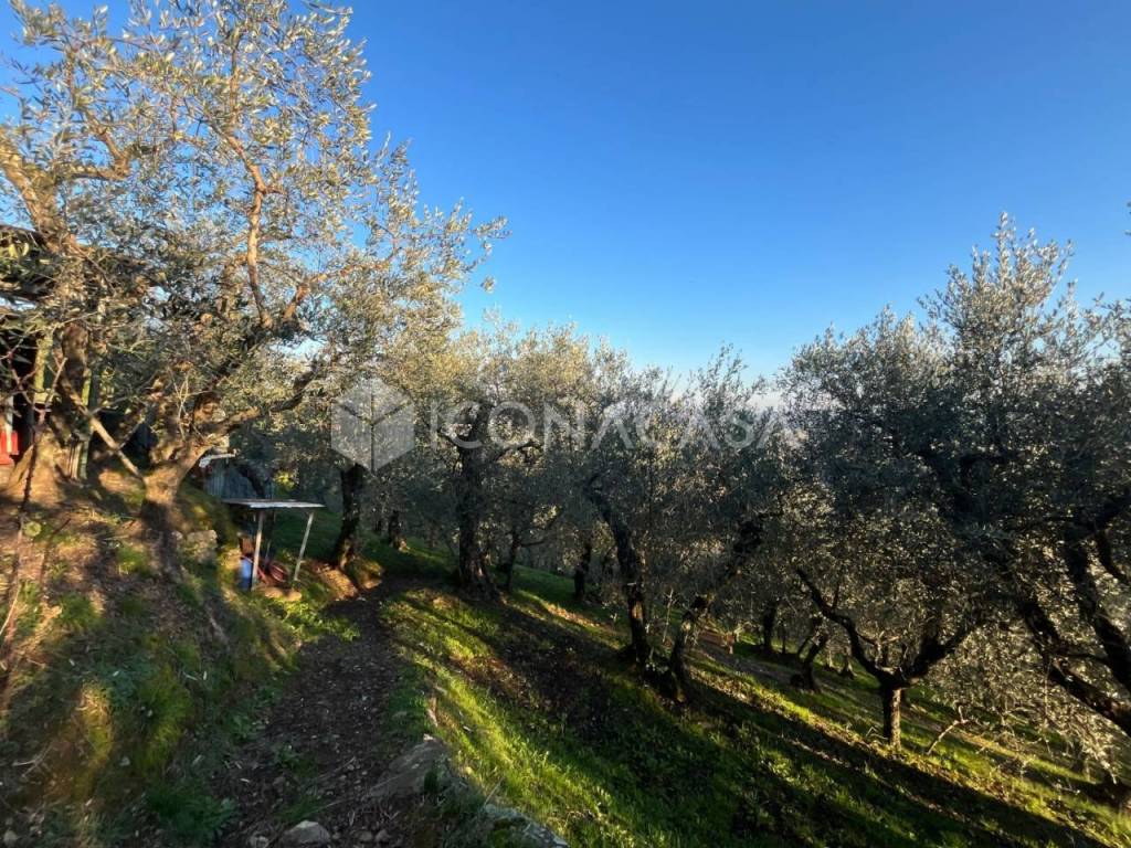 Terreno a Buti in Via Piana - Foto 3