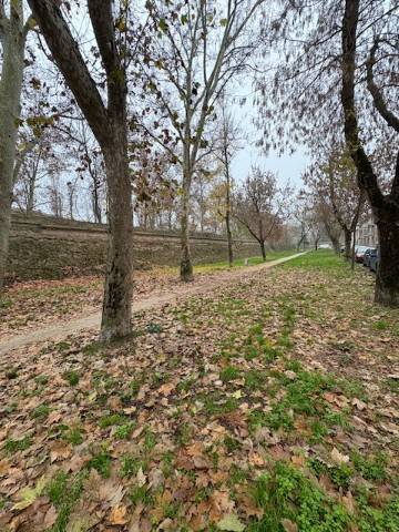 Appartamento a Ferrara in Via Mura di Porta Po - Foto 2