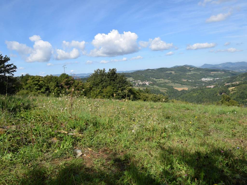 Terreno a San benedetto val di sambro - Foto 2