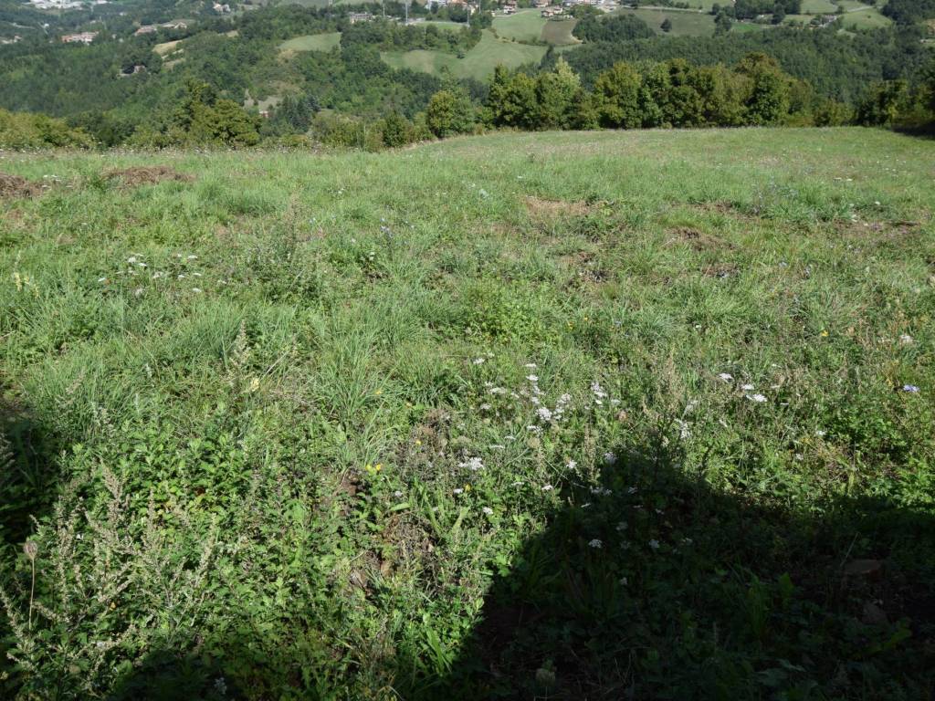 Terreno a San benedetto val di sambro - Foto 5