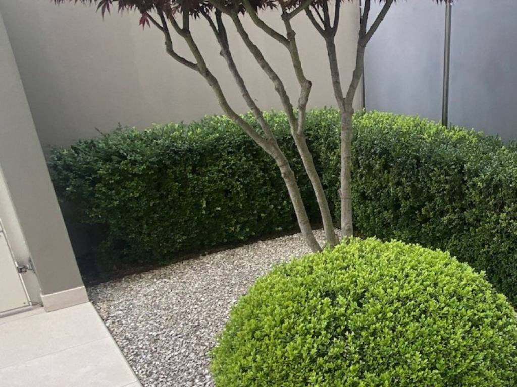 Attico / mansarda a Bassano del grappa in Viale venezia, 20 - Foto 5