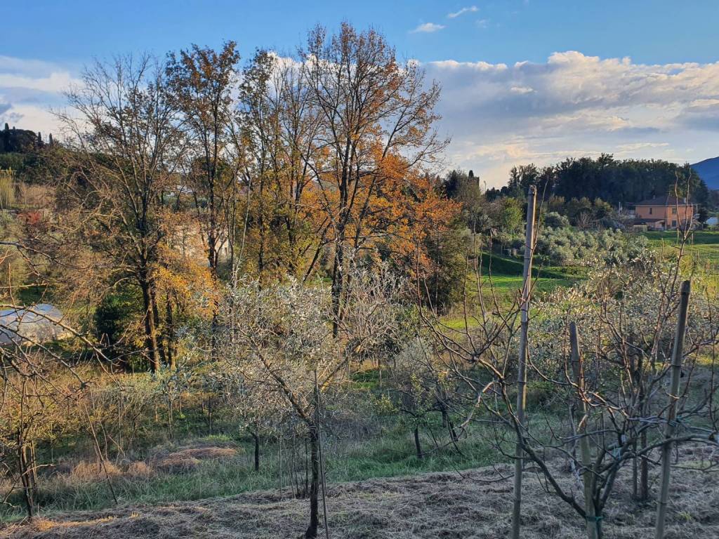 Terreno a Sarzana - Foto 2