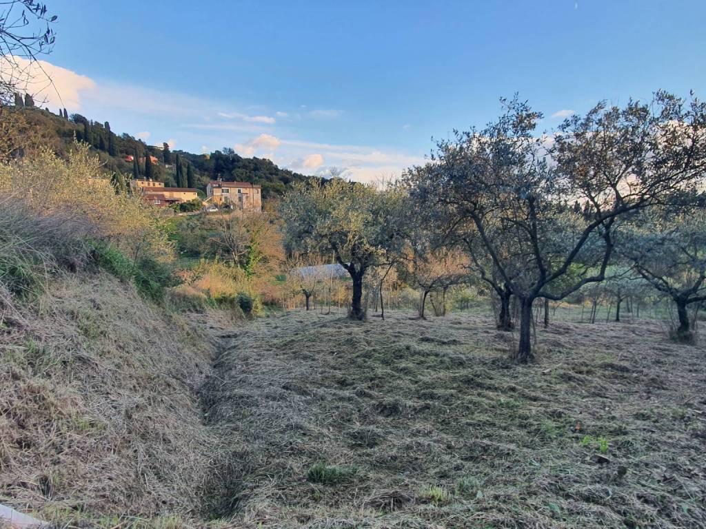 Terreno a Sarzana - Foto 3