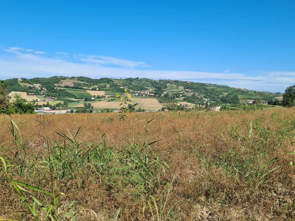 Terreno a Moncalvo - Foto 2