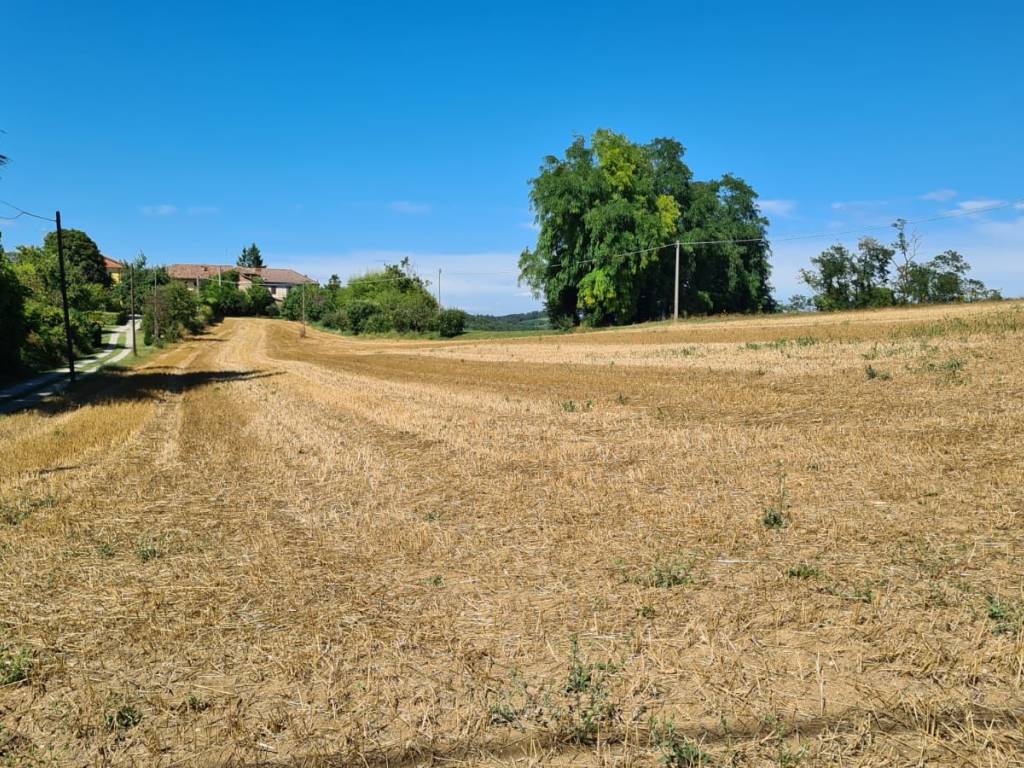Terreno a Moncalvo - Foto 3