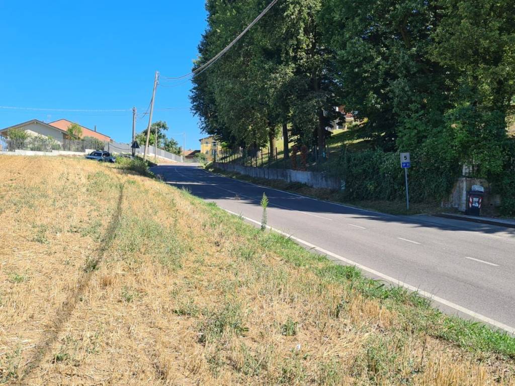 Terreno a Moncalvo - Foto 4