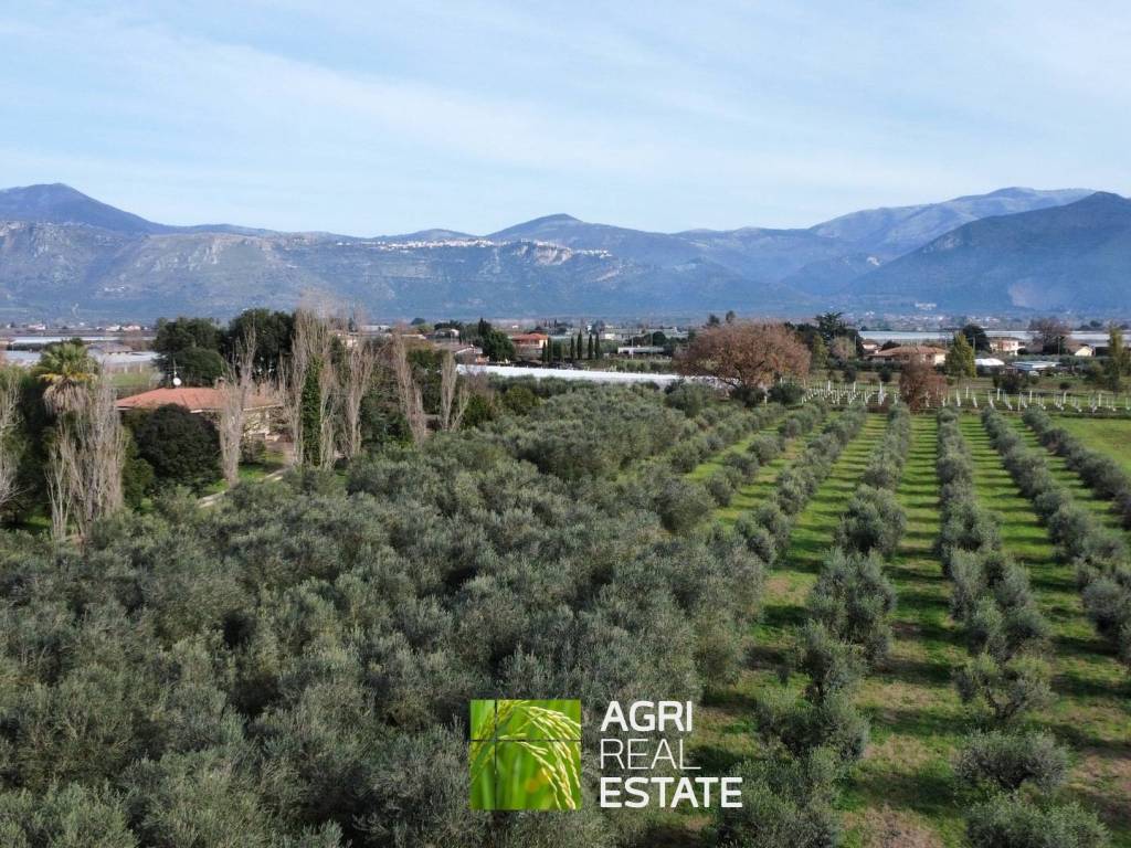 Terreno a Sermoneta in Via Eschido, 2 - Foto 4