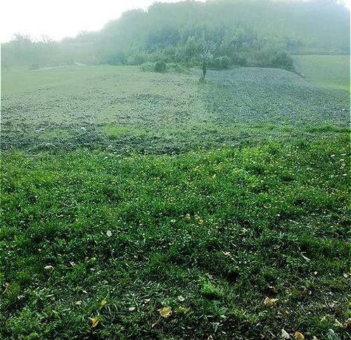 Terreno a Frontone - Foto 2