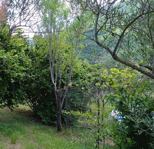 Villa a Cantiano in Via Ara Vecchia 122 - Foto 4