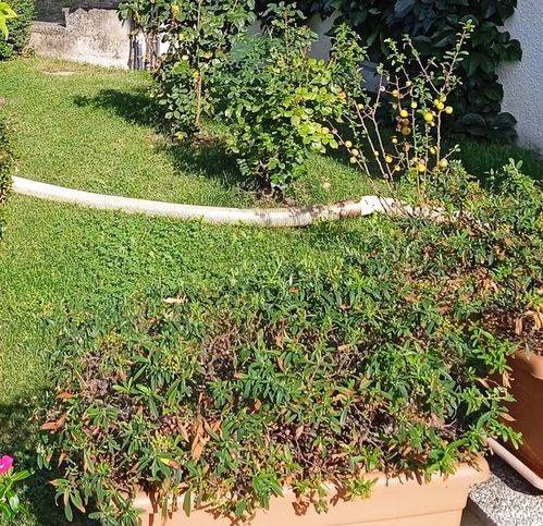 Appartamento a Cagli in Via San Pietro 54 - Foto 3