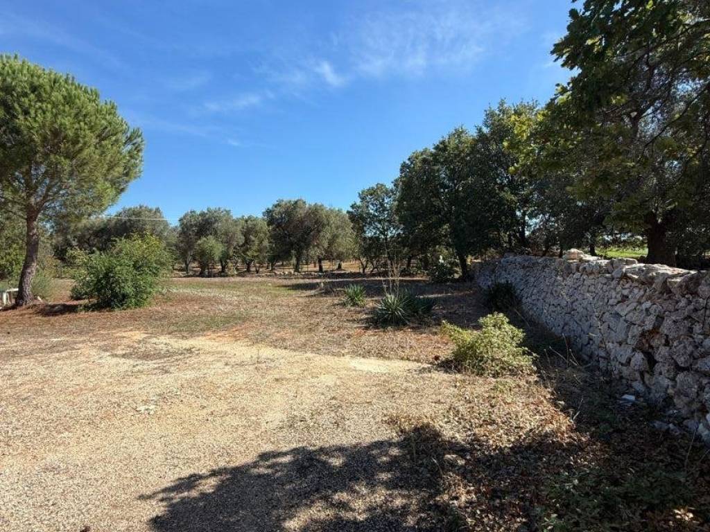 Terreno a Ostuni in Contrada Santo Scalone - Foto 4