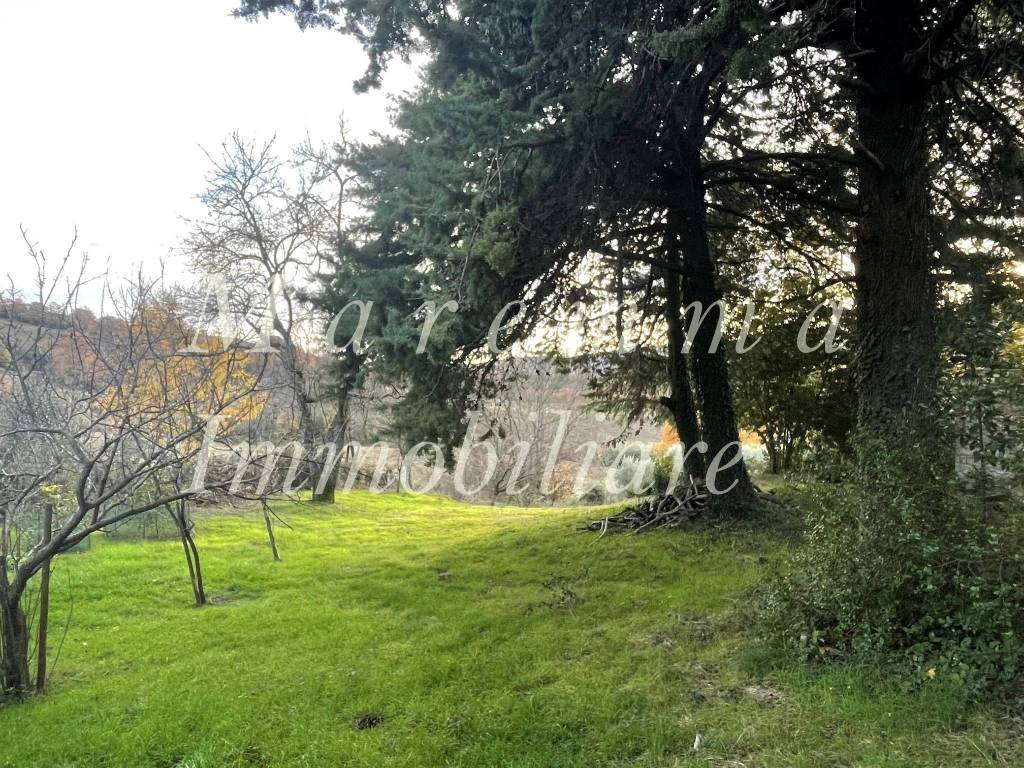 Rustico / casale a Manciano in Strada Provinciale Usi - Foto 3