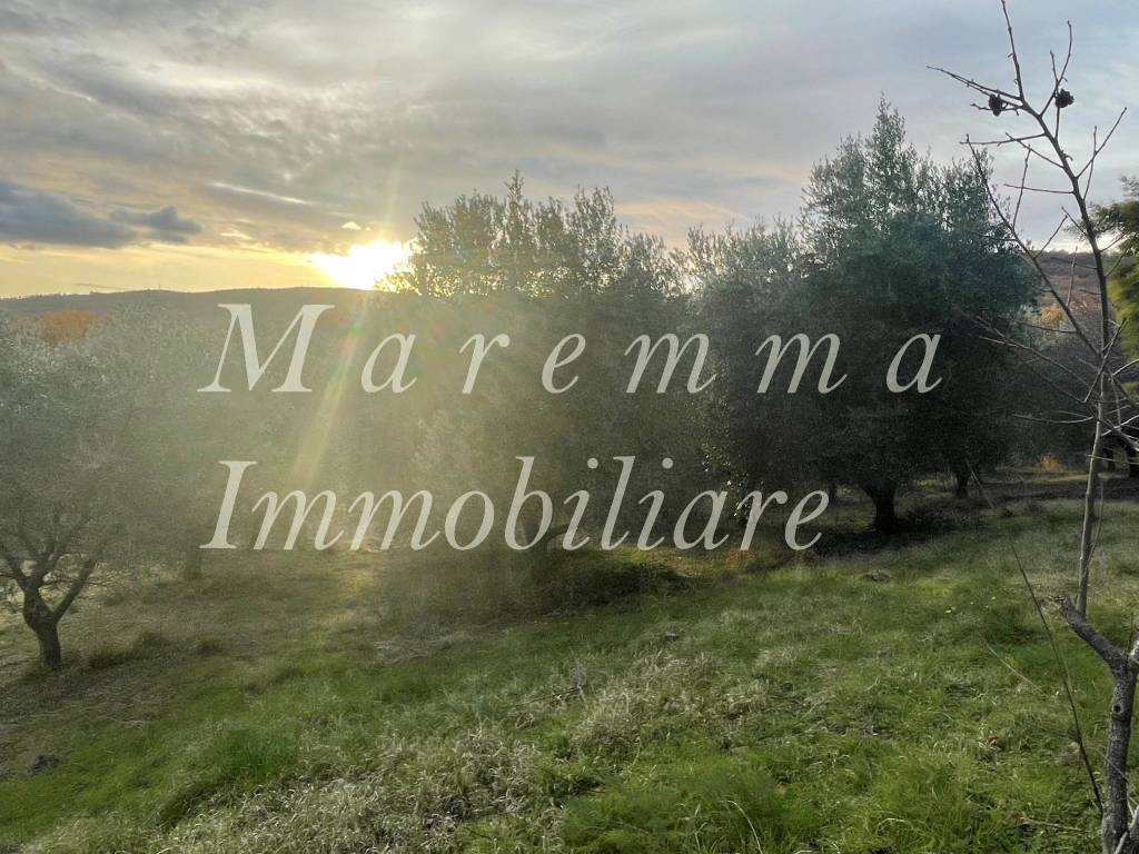 Rustico / casale a Manciano in Strada Provinciale Usi - Foto 5