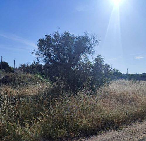 Terreno a Cursi in Via San Nicola 78 - Foto 3