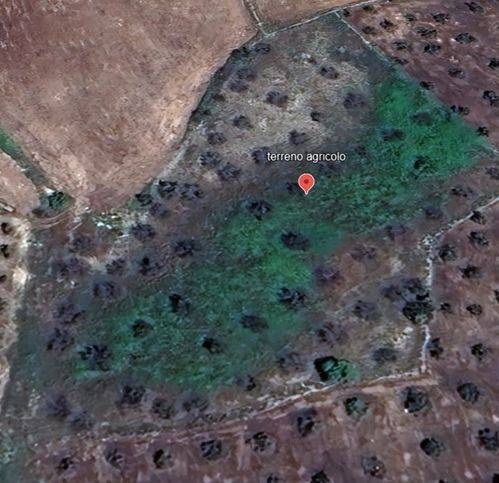 Terreno a Carpignano salentino in Via Provinciale Martano-Otranto - Foto 2