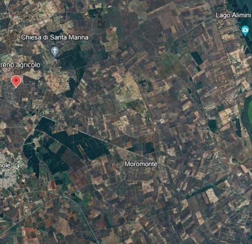 Terreno a Carpignano salentino in Via Provinciale Martano-Otranto - Foto 3