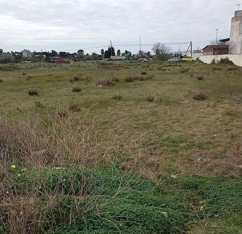Terreno a Cursi in Via Arno 96 - Foto 3