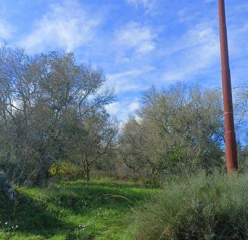 Terreno a Andrano in Via Madonna Dell'Attarico - Foto 2