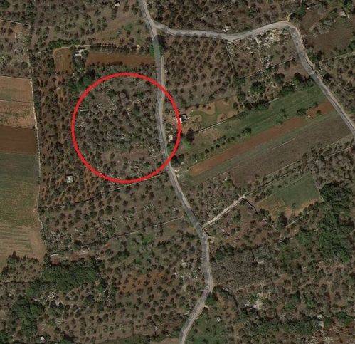 Terreno a Andrano in Via Madonna Dell'Attarico - Foto 3