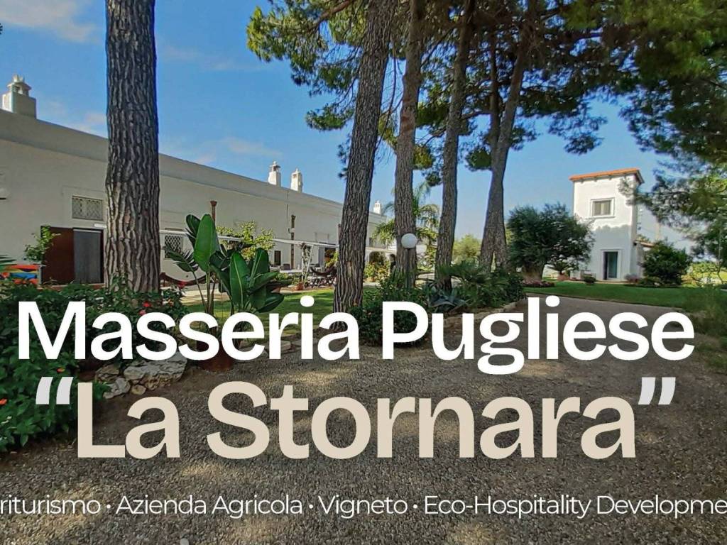 Rustico / casale a Ginosa in Contrada Pantano - Foto 4
