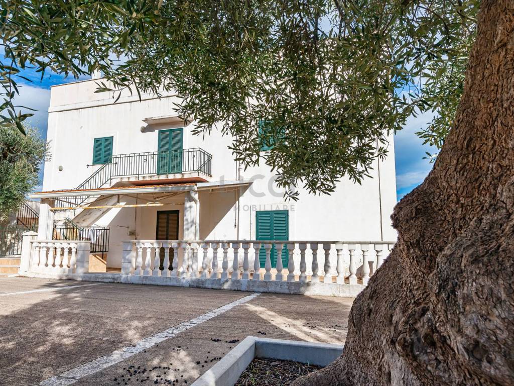 Villa a Monopoli in CONTRADA GUIDANO - Foto 5