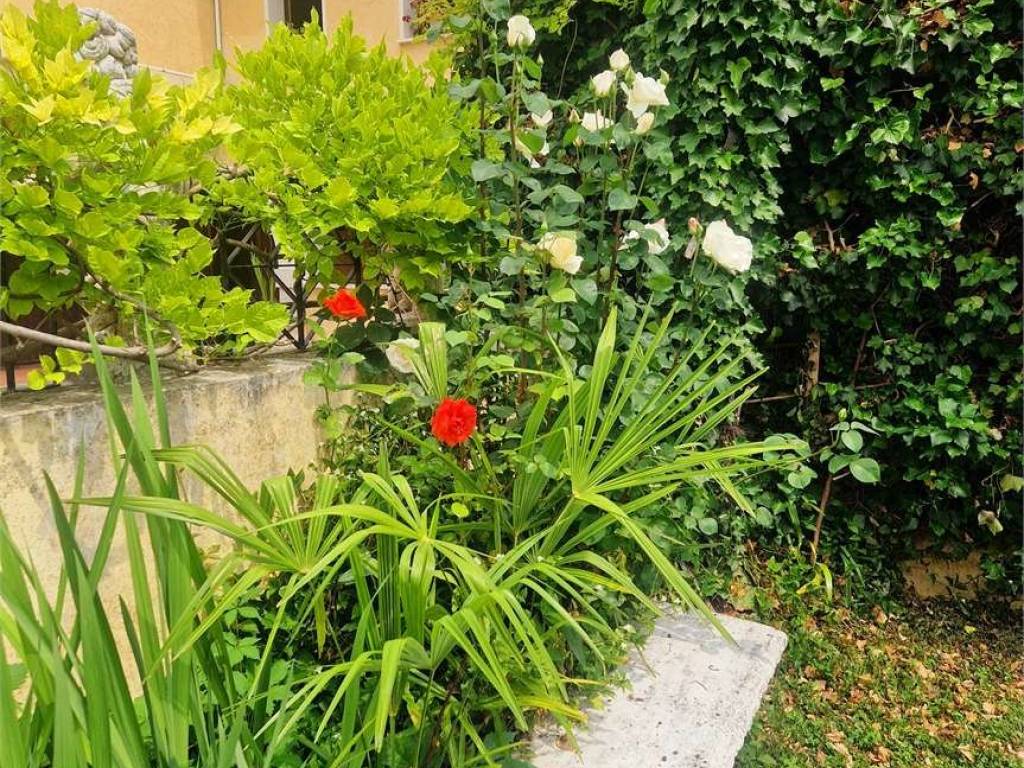 Villa a Vittorio veneto - Foto 4