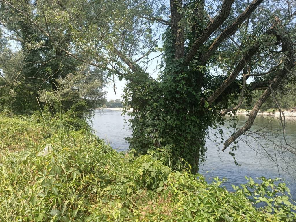 Terreno a Vigevano in Via Thomas Alva Edison - Foto 2