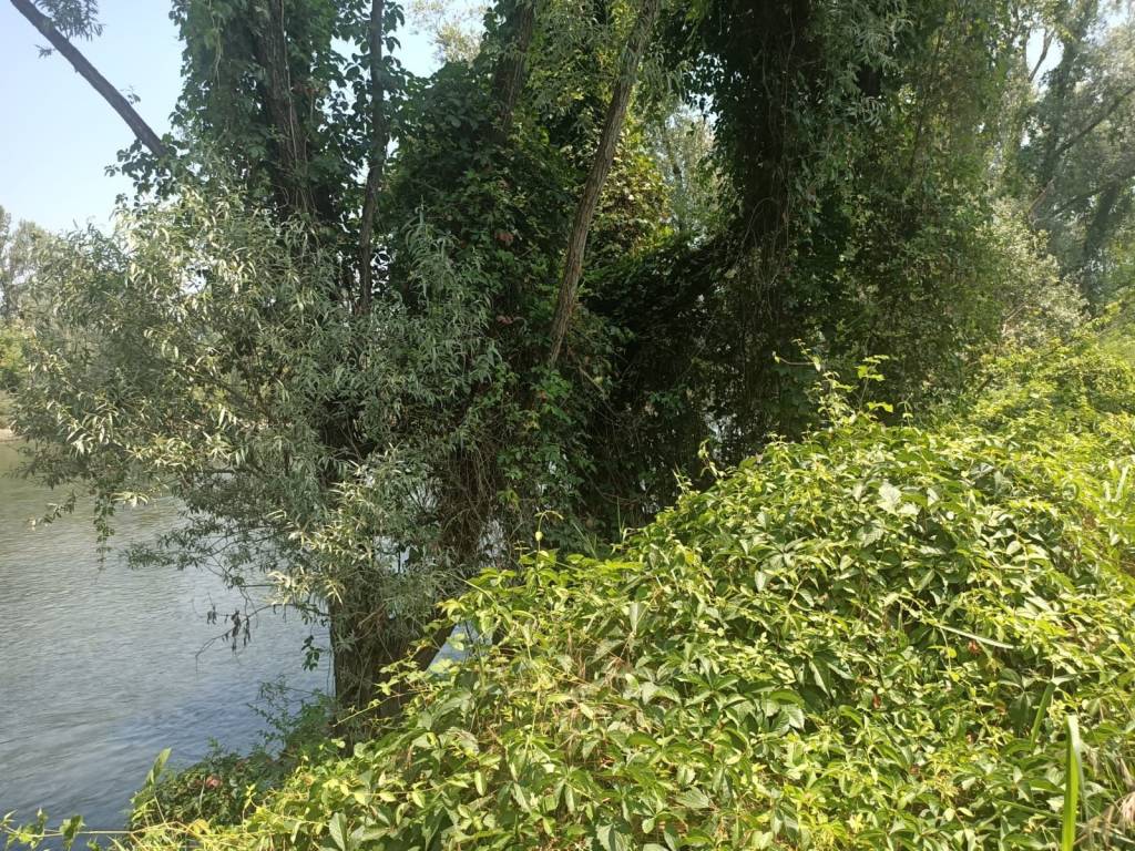 Terreno a Vigevano in Via Thomas Alva Edison - Foto 3