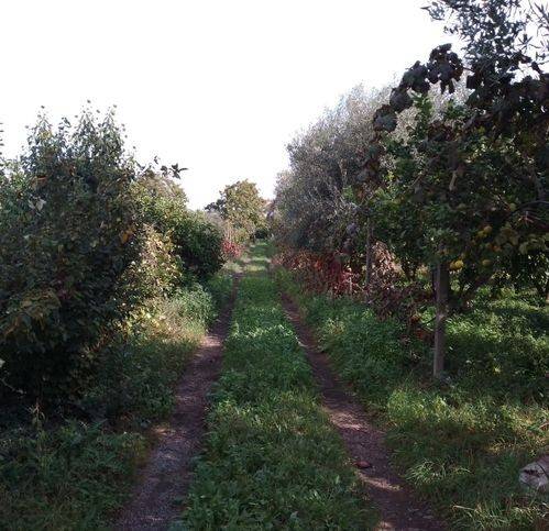 Terreno a Acireale in Via Centanni - Foto 2