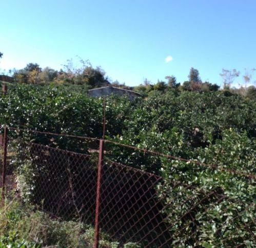 Terreno a Acireale in Via Centanni - Foto 4