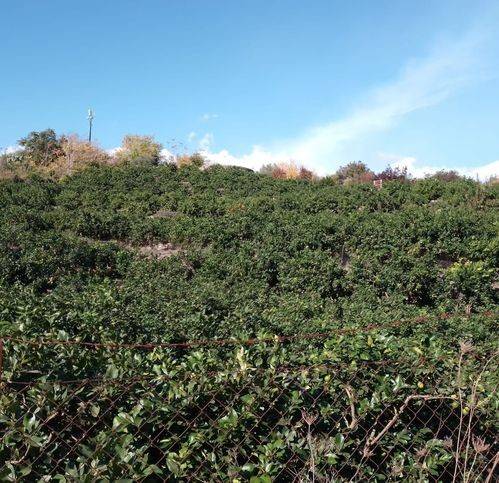 Terreno a Acireale in Via Centanni - Foto 5