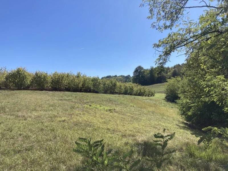 Terreno a Mondovì - Foto 3