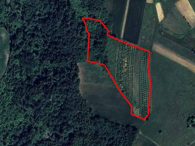 Terreno a Mondovì - Foto 4