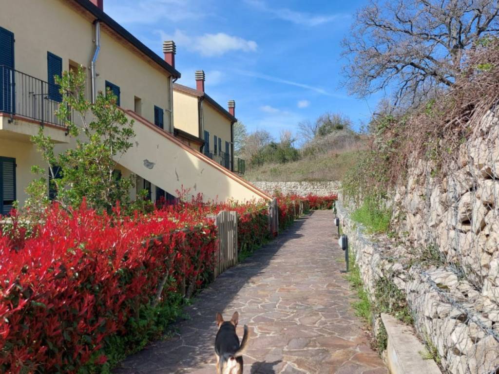 Appartamento a Manciano in Strada Saturnia, 21 - Foto 2