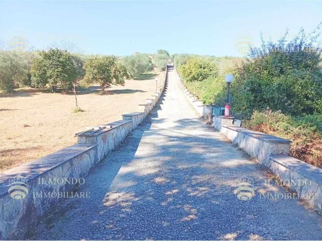 Villa a Palombara sabina - Foto 3