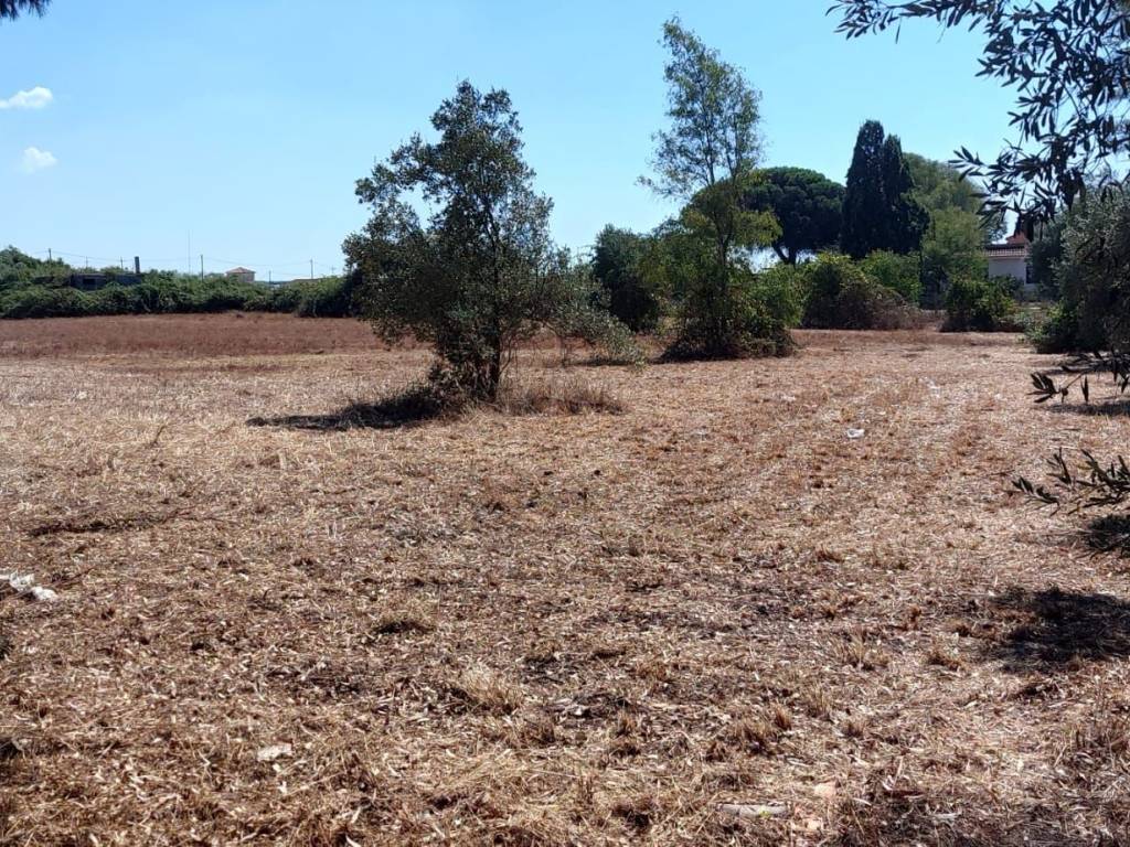 Rustico / casale a Ardea in Via dei Melograni - Foto 2