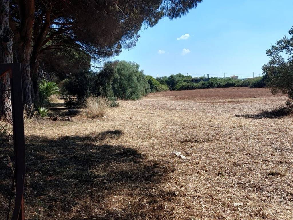 Rustico / casale a Ardea in Via dei Melograni - Foto 3