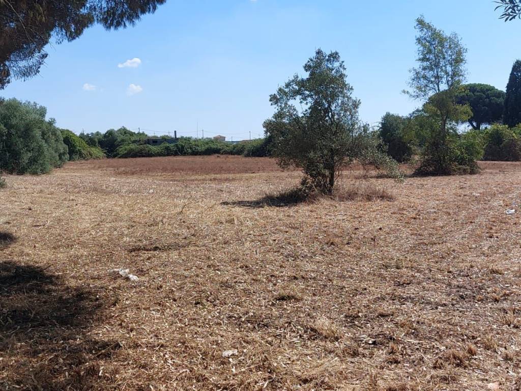 Rustico / casale a Ardea in Via dei Melograni - Foto 5