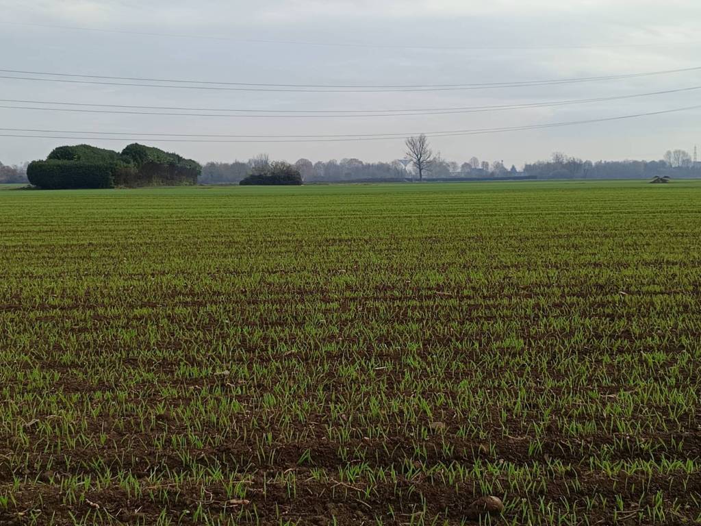 Terreno a Origgio in Via Saronnino - Foto 2